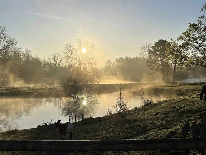 Mobil home pour 8 personnes, avec piscine ainsi que sauna et terrasse à Maresquel-Ecquemicourt - 3