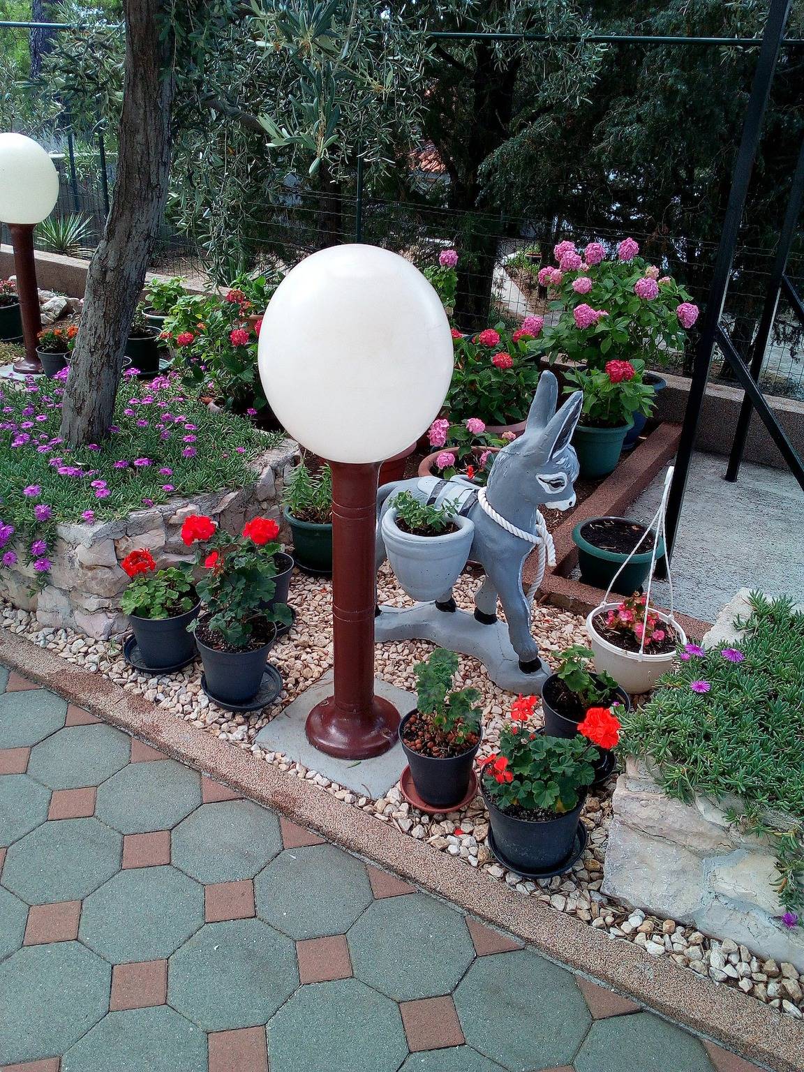 Ganze Wohnung, Studio Appartement mit Balkon und Meerblick Barbat (Rab) As-4862-a in Barbat na Rabu, Rab