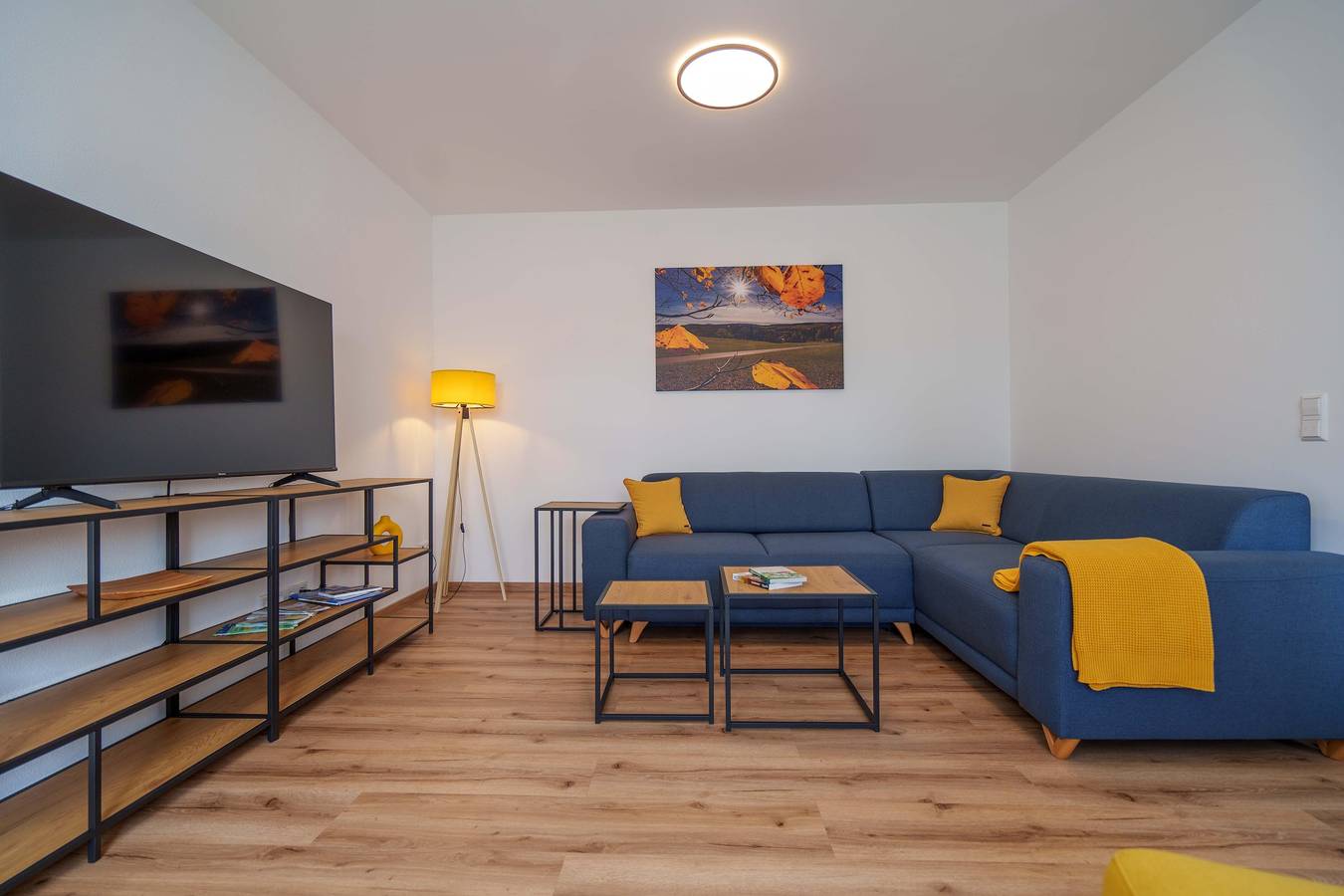 Entire holiday apartment, Komfort-Ferienwohnung mit Familienbett &amp; Badewanne in Olbernhau, Ore Mountains