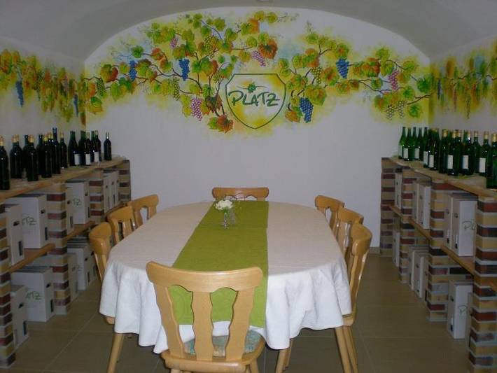 Ferienwohnung für 2 Personen, mit Terrasse und Garten in Hambach (Neustadt) - 4