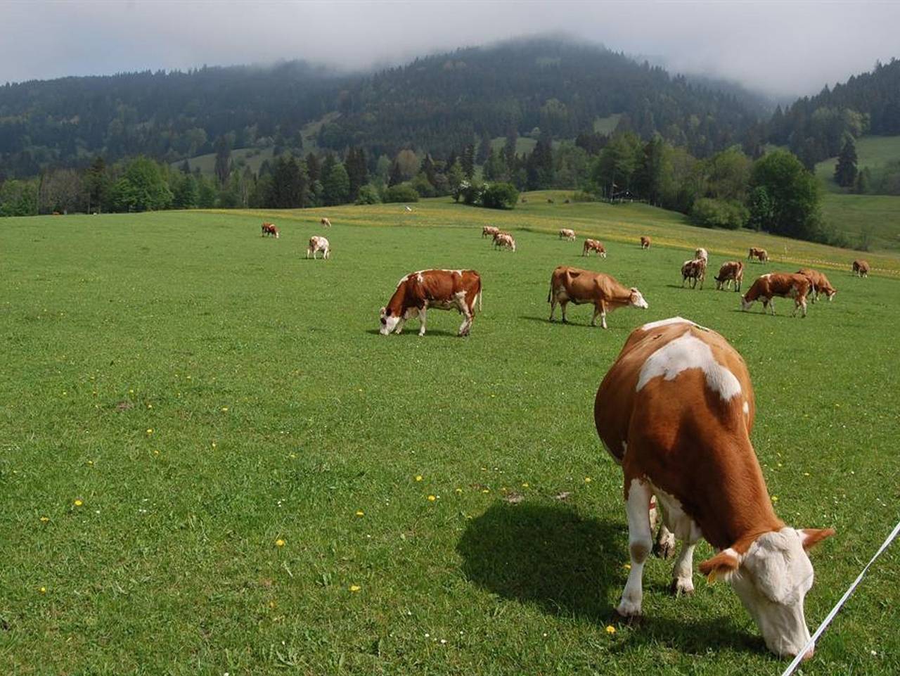 Ferienhof Köpf - Familienzimmer Og 2-4 Personen in Oberammergau, Bayerische Alpen