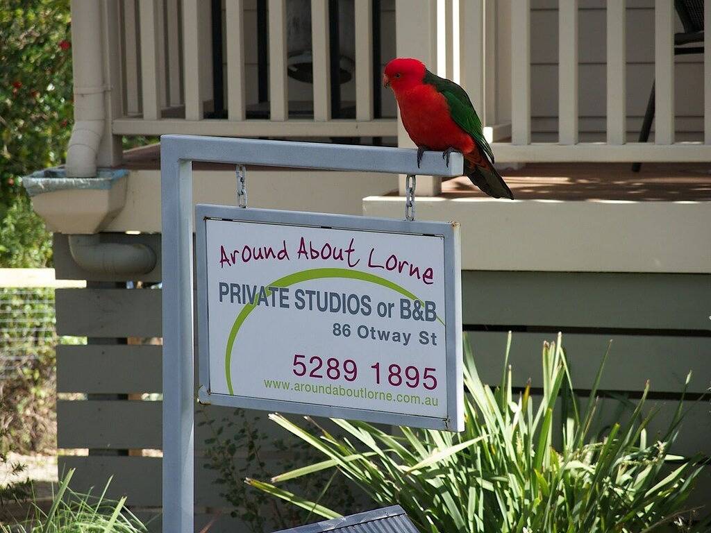 Around About Lorne Studios oder B & B in Lorne, Great Ocean Road