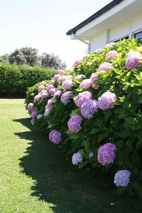 Perfect Chalet for Beach Lovers and Golfers in Somo, Ribamontán al Mar