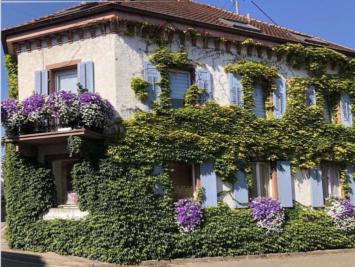 Ferienwohnung für 4 Personen, mit Balkon in Kaiserstuhl