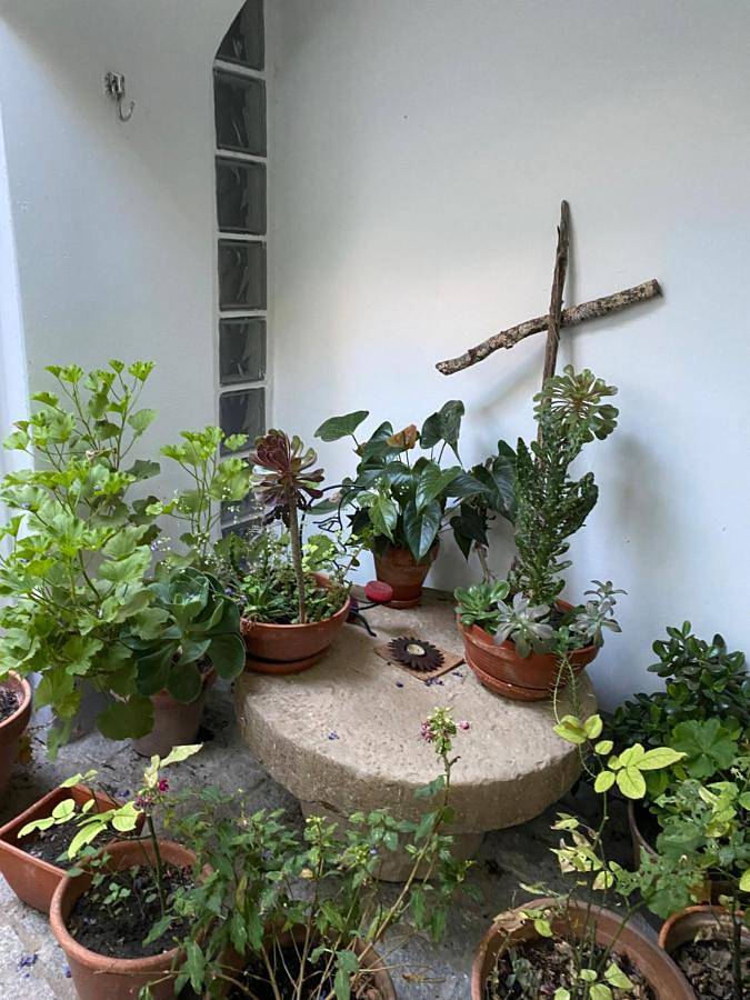 Apartamento de férias para 4 pessoas, com Terraço e Jardim em Município de Évora