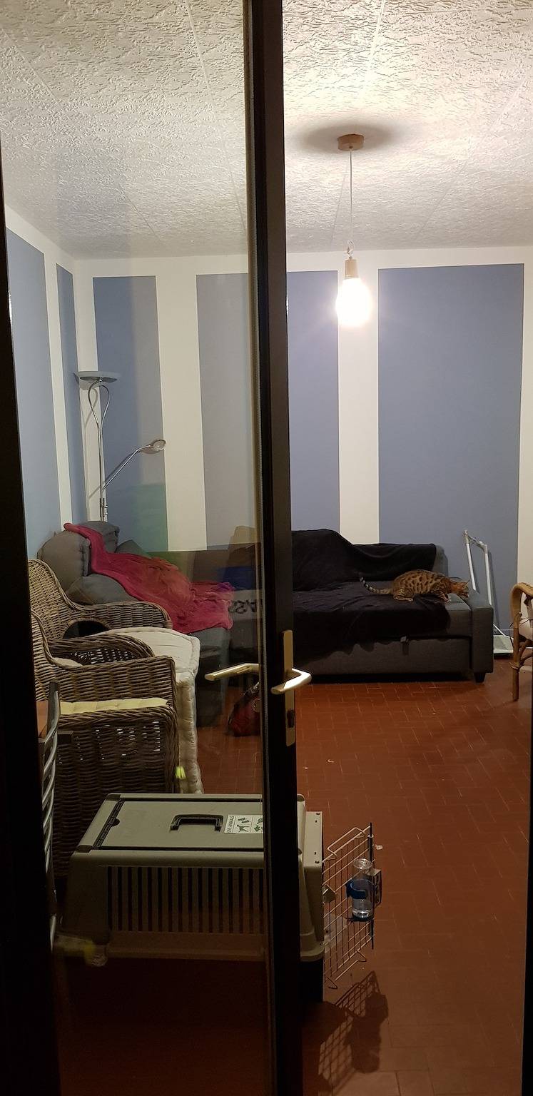 Apartamento entero, Apartamento encantador en Saintes-Maries-de-la-Mer, 44 m², balcón in Saintes-Maries-de-la-Mer, Region de Arles