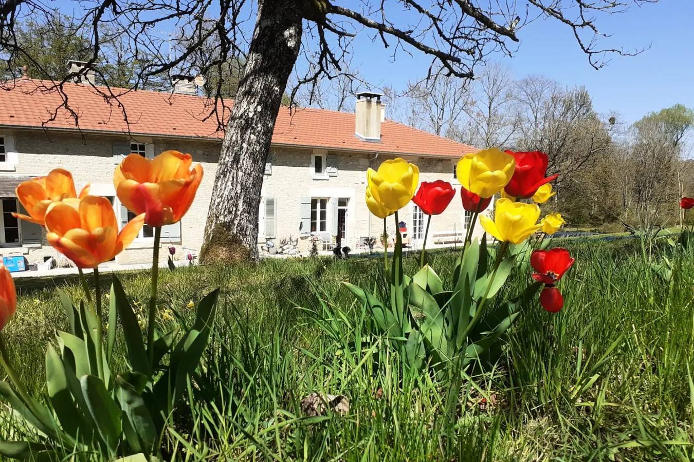 Gîte de France 12 Personen in Chancenay, Haute-Marne