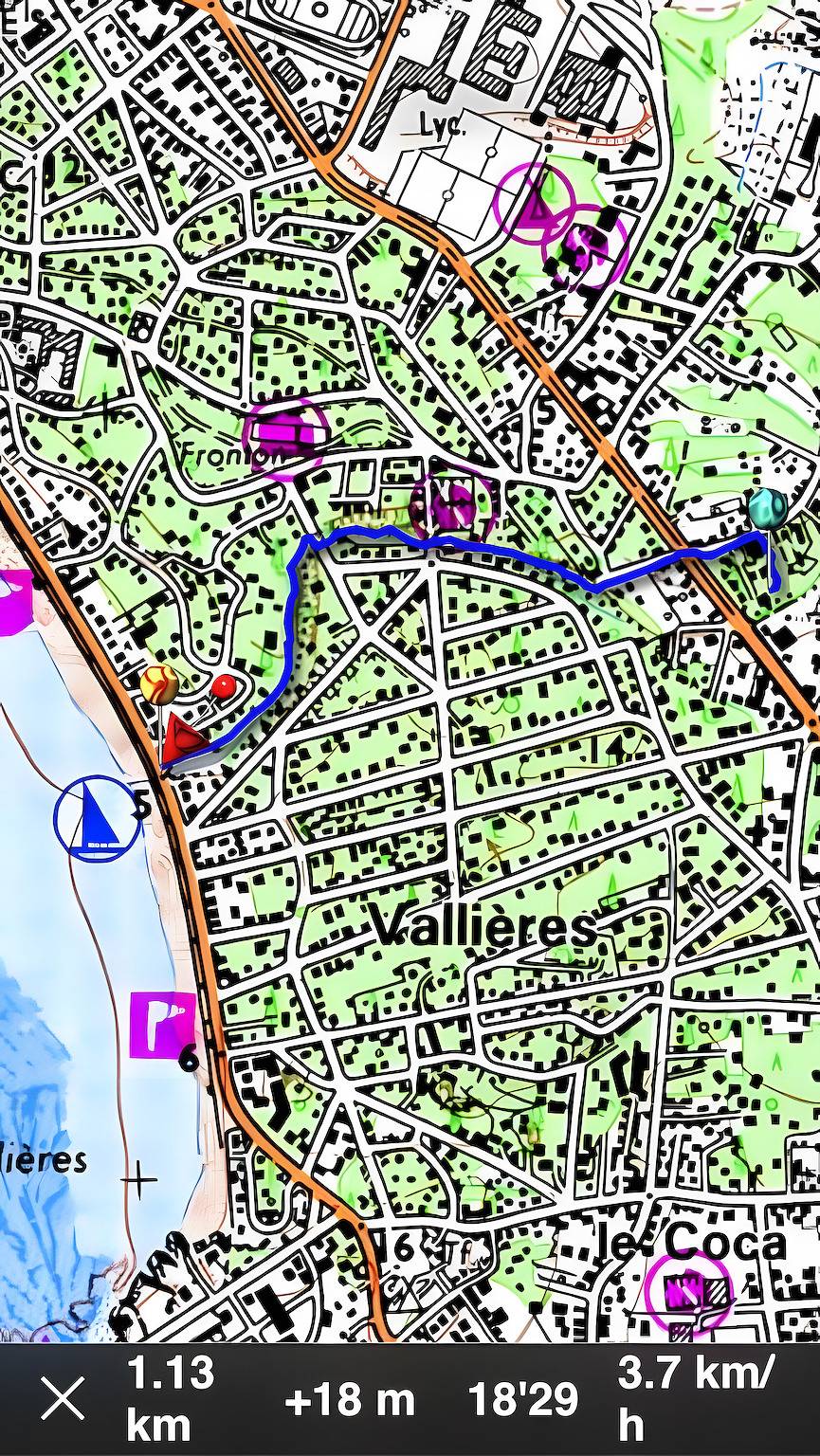 Chambre d'hôtes 'Le Pommier - Bed and Breakfast' avec Wi-Fi in Saint-Georges-de-Didonne, Côte de Beauté