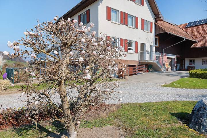 Zimmer mit Gemeinschaftsgarten und Wlan in Kressbronn am Bodensee, Region Bodensee-Oberschwaben