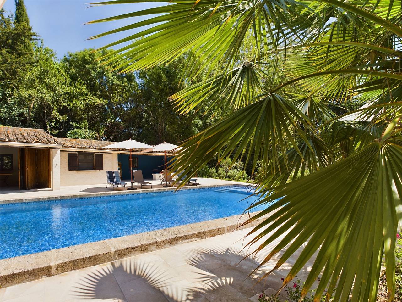 Stunning Renovated Mas with Pool in Peaceful Mouriès Countryside in Mouriès, Arles region