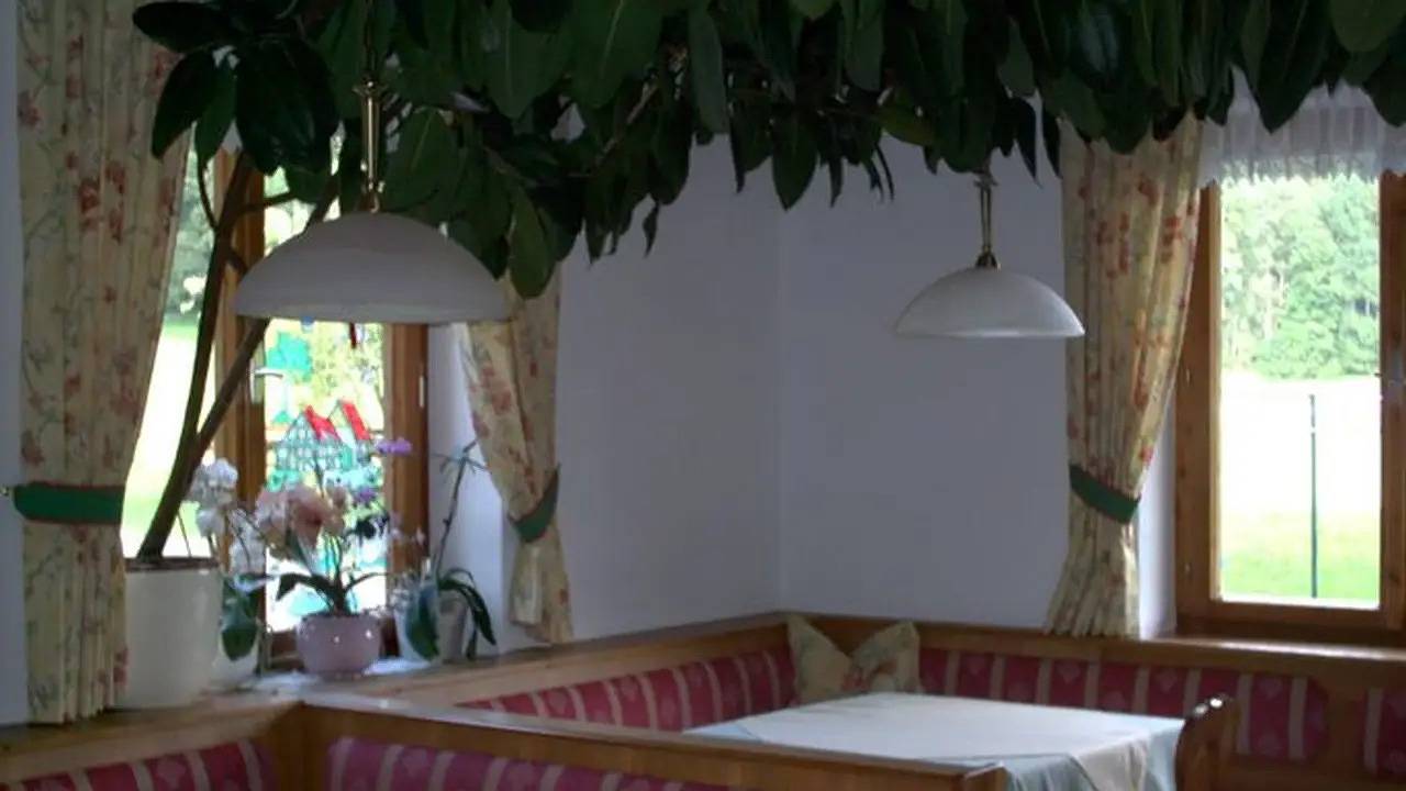 Bauernhof für 2 Personen (22 m²) in Fuschl am See in Salzkammergut-Berge, Fuschl am See