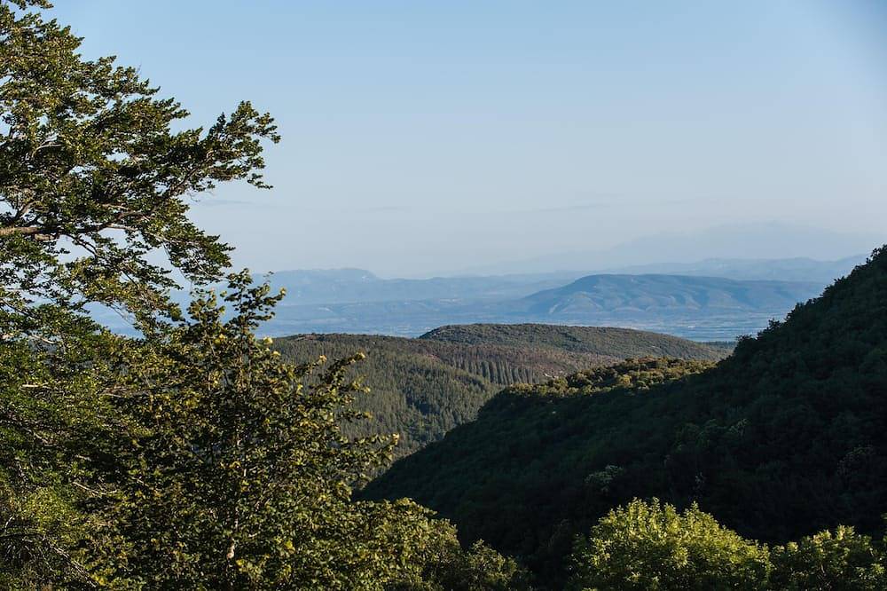 Eco-gite, Loin de tout mais proche de l'essentiel in Boisset, Région de Béziers