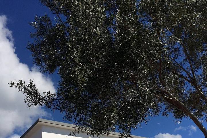 Ferienhaus für 6 Personen, mit Terrasse auf La Palma