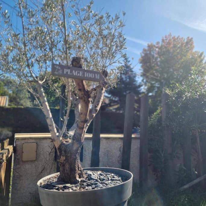 Location de vacances pour 8 personnes, avec jardin et piscine dans Plage du Betey - 4