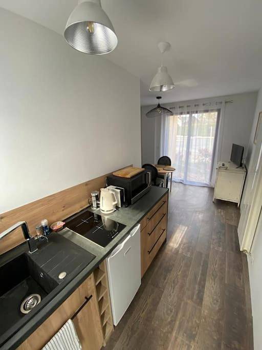 Gîte pour 2 personnes, avec jardin et terrasse, animaux acceptés à Mont-Saint-Aignan - 4