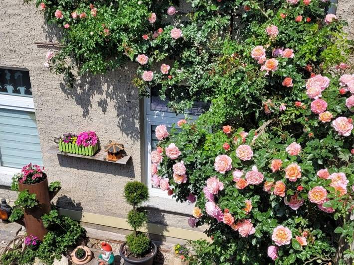 Ferienwohnung für 4 Personen in Saale-Unstrut - 2