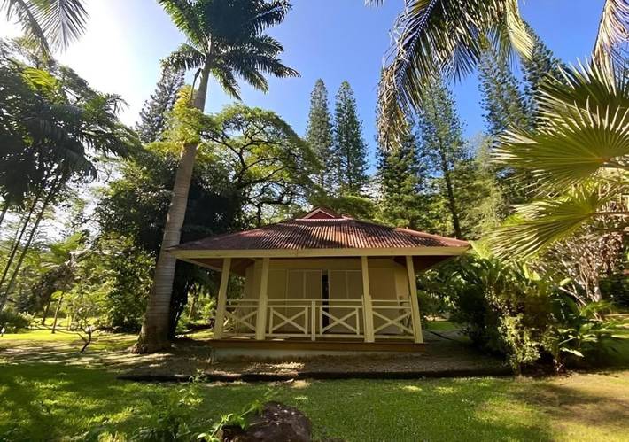 Gîte pour 3 personnes, avec terrasse ainsi que jardin et vue, animaux acceptés à Sarraméa