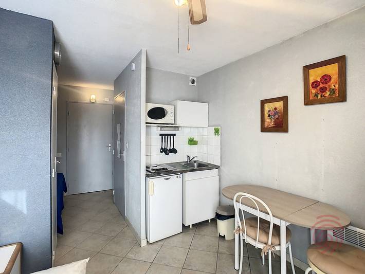 Estudio entero, Estudio luminoso cerca de las termas con Wifi y mascotas permitidas in Lamalou-les-Bains, Region de Béziers