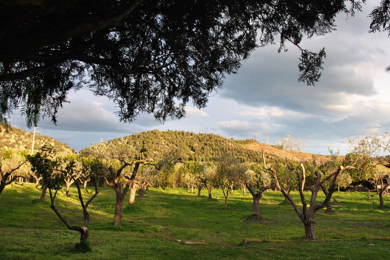 Zimmer 'La Bascula' mit privatem Garten, Wlan und Klimaanlage in Crotone, Crotone Provinz