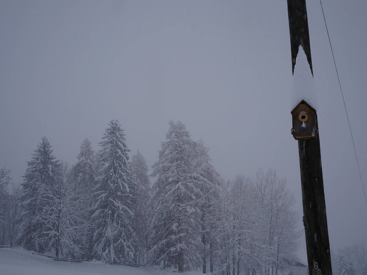 Ganze Ferienwohnung, Biohof Schott - Ferienwohnung am Biohof in Mörtschach, Oberkärnten