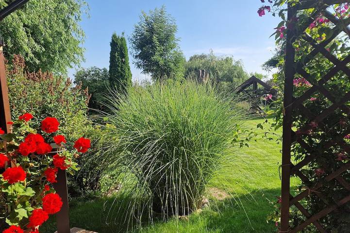 Idyllically situated apartment with a view not far from the seaside resorts in Gothensee, Benz