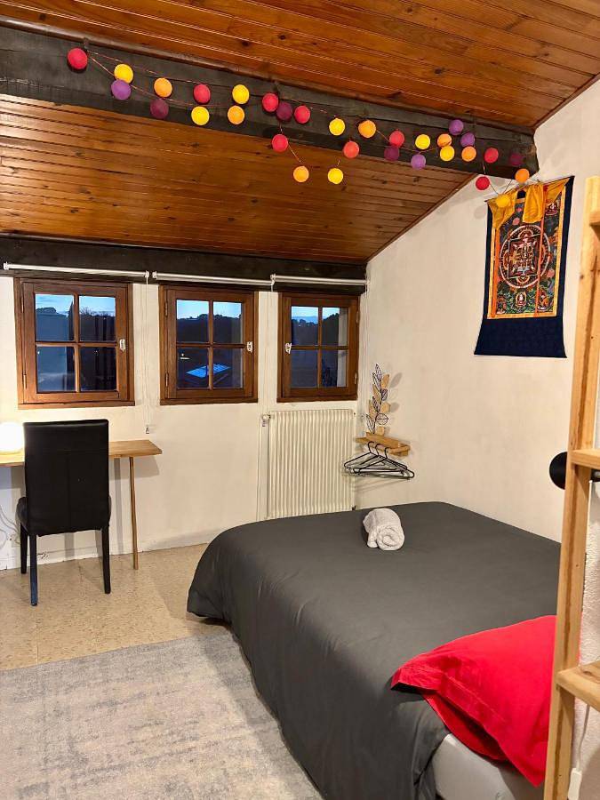 Gîte pour 13 personnes, avec piscine et jardin à Saint-Georges-d'Orques - 3
