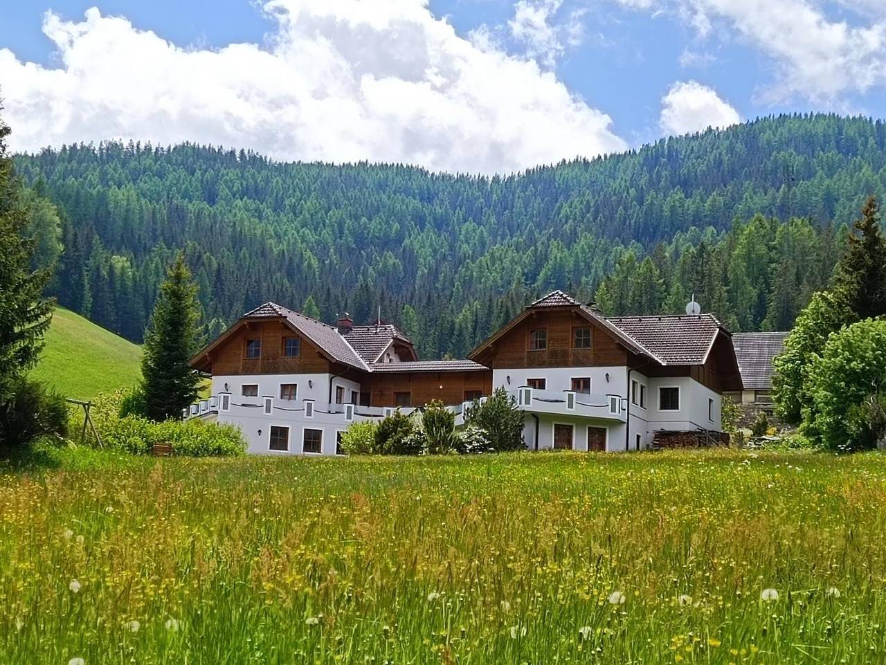 Ganzes Studio, Alpenblick, Ferienhaus - Alpenblick 5 in Krakau (Steiermark), Murau (Kreischberg)