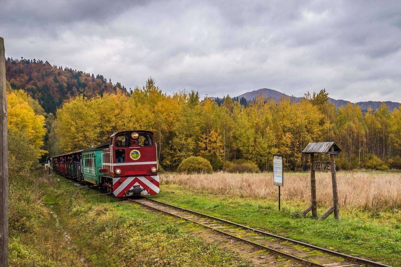 Two-Bedroom Chalet in Bieszczady