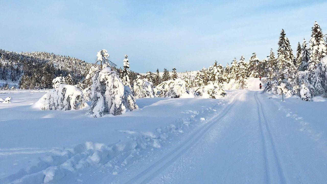 Ferienhaus für 15 Personen (210 m²) in Nissedal in Nissedal