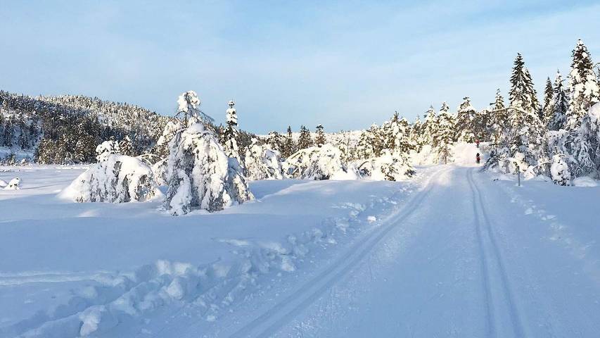 Ferienhaus für 16 Personen, mit Sauna und Terrasse, mit Haustier in Ost-Norwegen