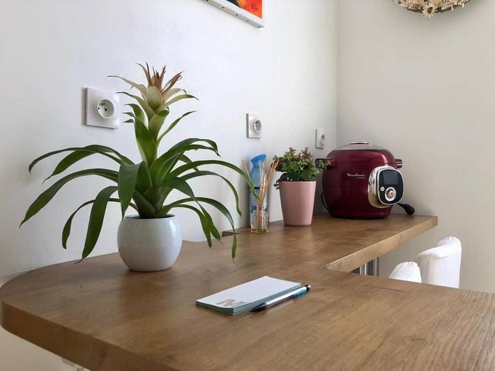 Location de vacances pour 4 personnes, avec terrasse à Fenouillet (Haute-Garonne) - 2