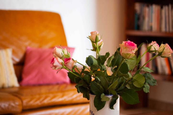 Gîte für 8 Personen, mit Terrasse und Garten sowie Pool und Whirlpool, mit Haustier in Champagne-Ardennen - 3