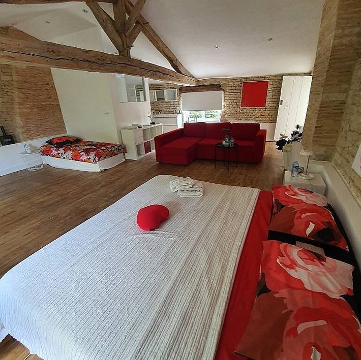 Chambre d’hôte pour 6 personnes, avec jardin ainsi que jacuzzi et sauna au Parc Naturel Régional du Marais poitevin - 4
