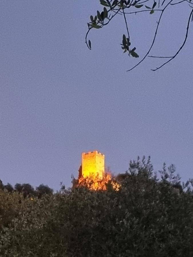 Location de vacances pour 2 personnes, avec terrasse et vue à Tourrette-Levens - 2