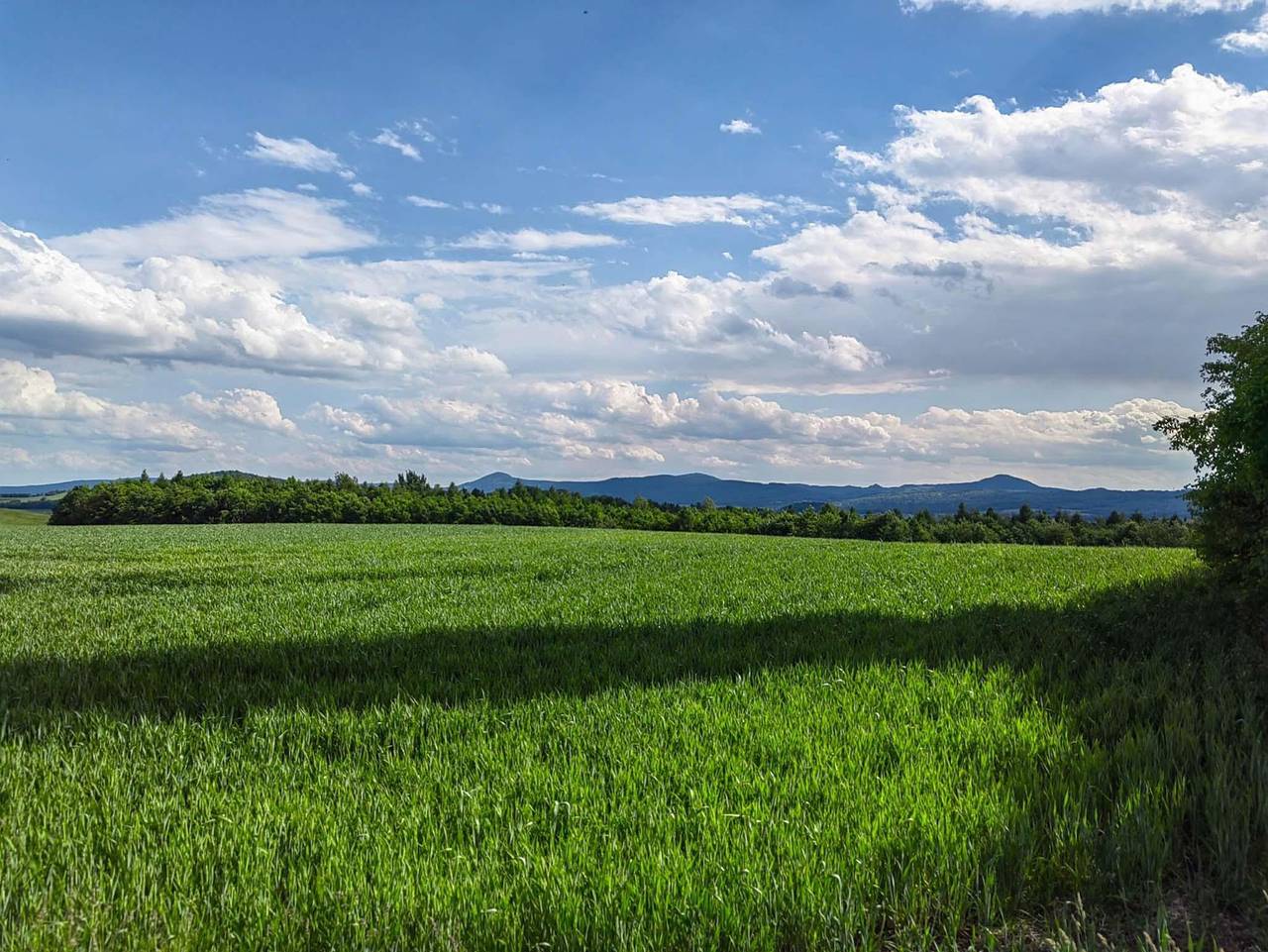 Ganze Ferienwohnung, Ferienwohnung Ebersbach - Ferienwohnung mit Balkon in Ebersbach-Neugersdorf, Oberlausitz-Niederschlesien