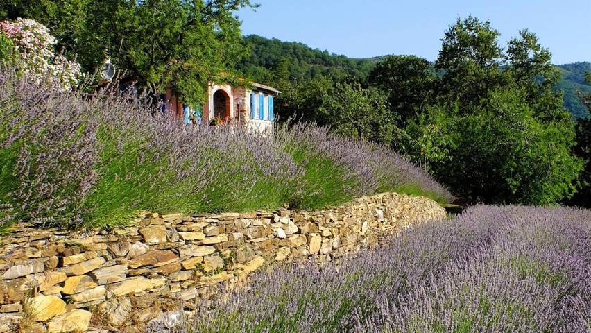 Location de vacances pour 4 personnes, avec vue ainsi que piscine et jardin dans Pantasina - 3