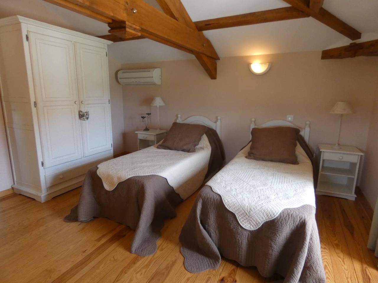 Gascon du Saby in Hontanx, Landes