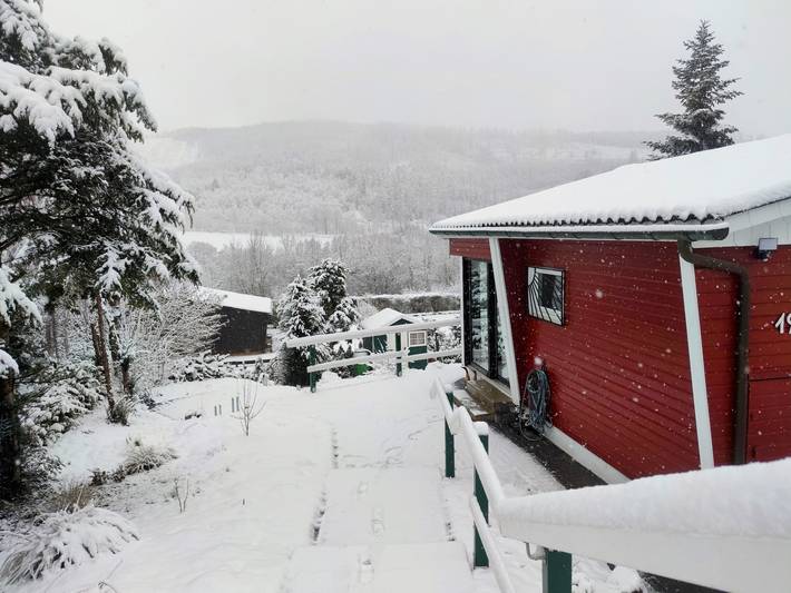 Ferienhaus für 4 Personen, mit Garten und Terrasse, mit Haustier in Meschede - 4