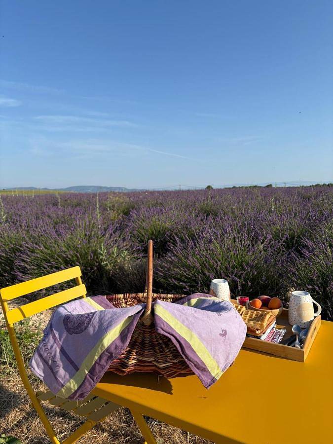 Tent in Valensole, Parc naturel régional du Verdon