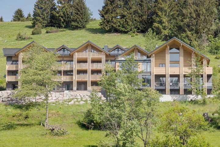 Vakantieappartement voor 2 personen, with uitzicht and sauna as well as zwembad and tuin, met huisdier in Feldberg