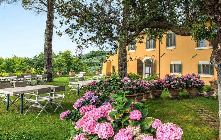 Casa vacanza per 20 persone, con giardino e sauna nonché terrazza e piscina, con animali domestici - 1