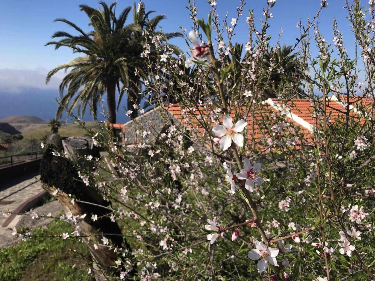One-Bedroom House in El Guanche, Alajeró (municipio)
