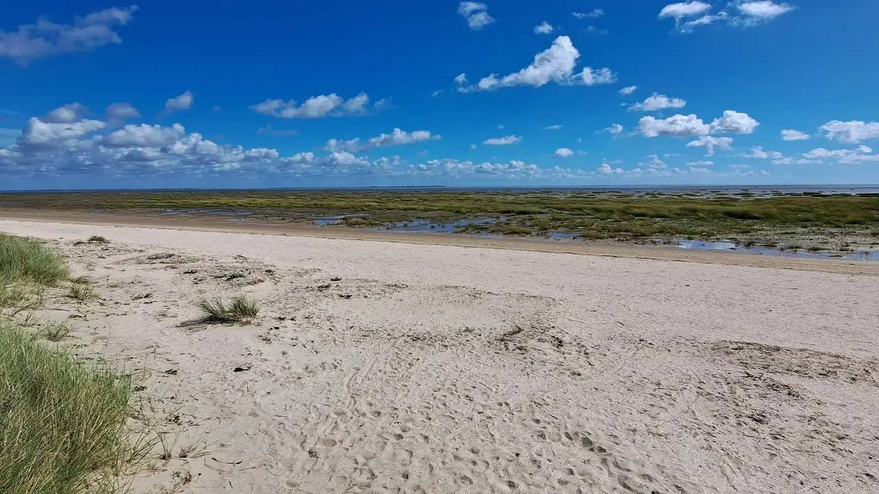 Ferienhaus für 8 Personen (170 m²) in Fanø in Sønderho, Wadden Sea National Park