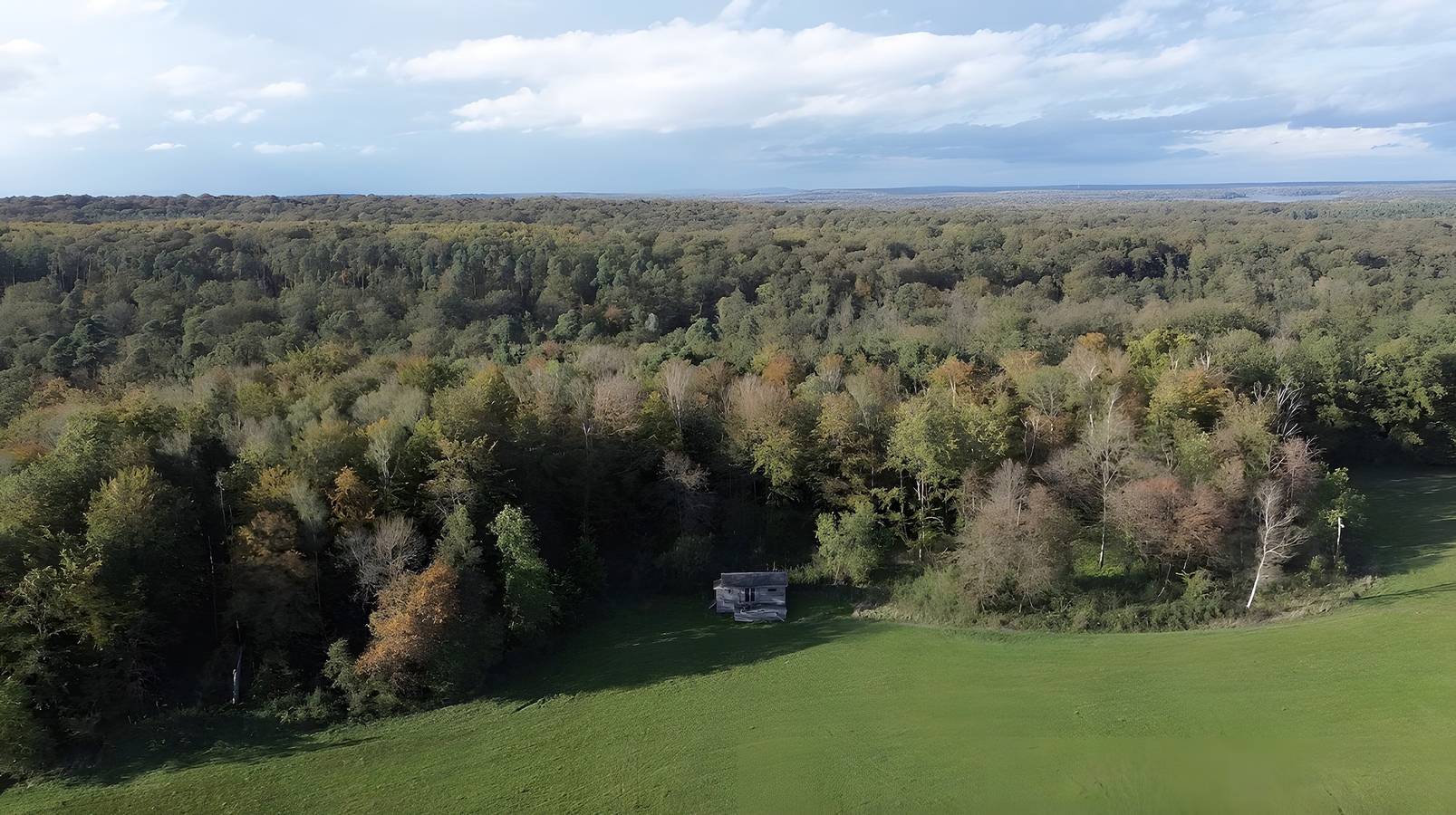 Cabane 'Robin Hood' met privéterras en Scandinavisch bad, foto 8