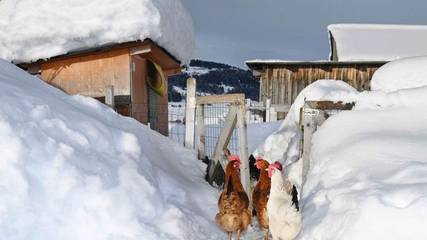Hütte für 4 Personen in Krumbach (Vorarlberg), Allgäuer Alpen (Österreich), Bild 3