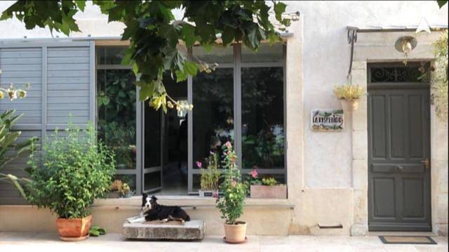 Chambre d’hôte pour 2 personnes, avec piscine et jardin à Cabannes - 2