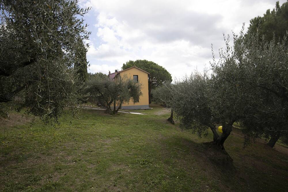 Beautifully restored hay-barn with splendid views, set amongst olive groves and 7 km from the sea. Sarzana in Sarzana, Naturpark Montemarcello-Magra-Vara