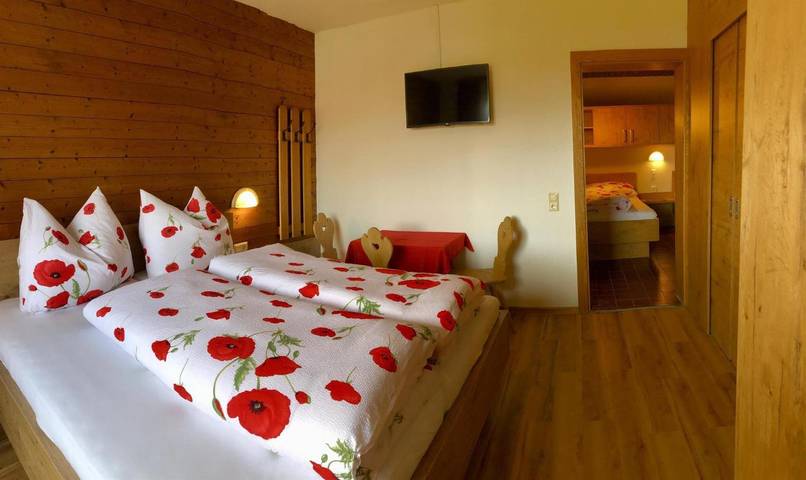 Ferienwohnung für 4 Personen, mit Balkon, mit Haustier im Brixental