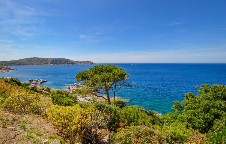 Appartement de vacances entier, Retraite douillette au bord de la plage avec WiFi, terrasse et parking in Calvi, Région de Calvi