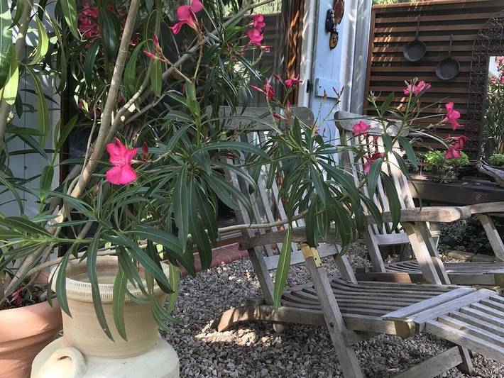 Ferienhaus für 4 Personen, mit Terrasse und Garten in Werder - 3